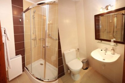 hotel *** - Hotel Kuźnia Napoleońska - zdjęcie 10