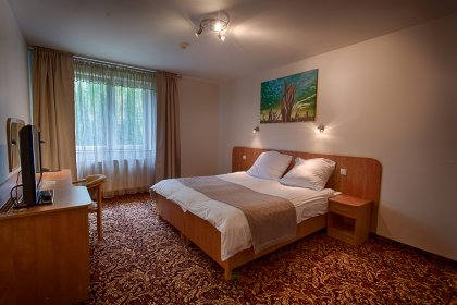 hotel *** - Hotel Kuźnia Napoleońska - zdjęcie 13