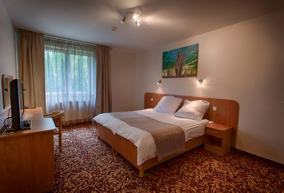 hotel *** - Hotel Kuźnia Napoleońska - Pokoje - zdjęcie 6