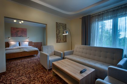 hotel *** - Hotel Kuźnia Napoleońska - zdjęcie 8