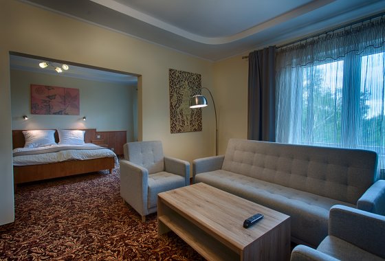 hotel *** - Hotel Kuźnia Napoleońska - Pokoje - zdjęcie 1