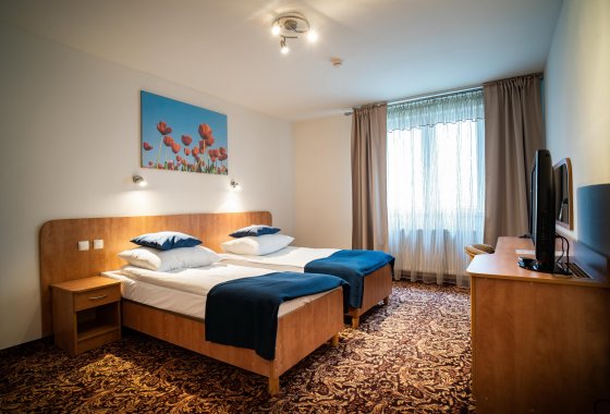 hotel *** - Hotel Kuźnia Napoleońska - Pokoje - zdjęcie 5