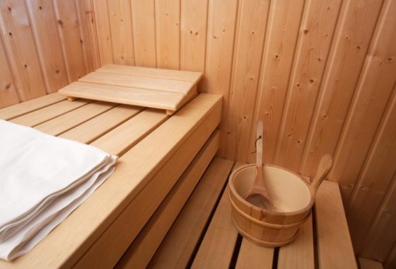 Hotel Kuźnia Napoleońska- sauna- SaleBiznesowe