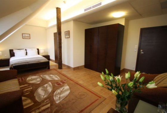 hotel *** - Hotel Flora - Pokoje - zdjęcie 3