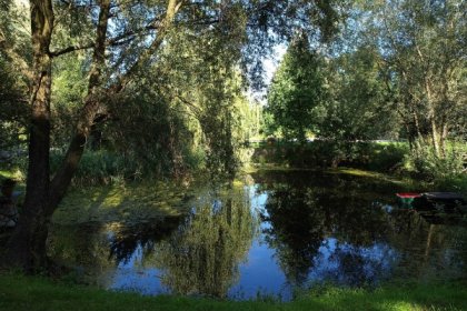 hotel **** - Pensjonat Nad Stawem - zdjęcie 7