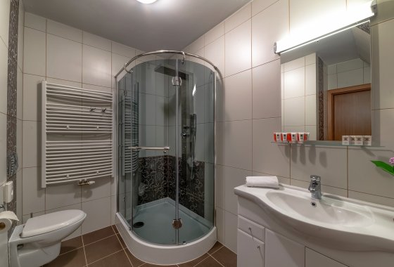 hotel *** - Hotel Liptakówka*** - Pokoje - zdjęcie 11