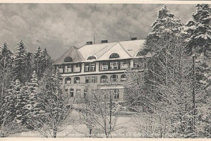 hotel *** - Hotel Bosman - zdjęcie 3