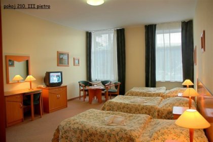 hotel *** - Hotel Bosman - zdjęcie 19