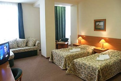 hotel *** - Hotel Bosman - zdjęcie 17