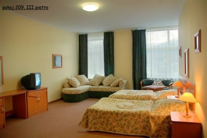 hotel *** - Hotel Bosman - zdjęcie 16