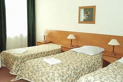 hotel *** - Hotel Bosman - zdjęcie 15