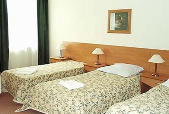 hotel *** - Hotel Bosman - Pokoje - zdjęcie 11
