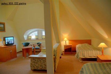 hotel *** - Hotel Bosman - zdjęcie 14