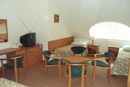 hotel *** - Hotel Bosman - zdjęcie 12