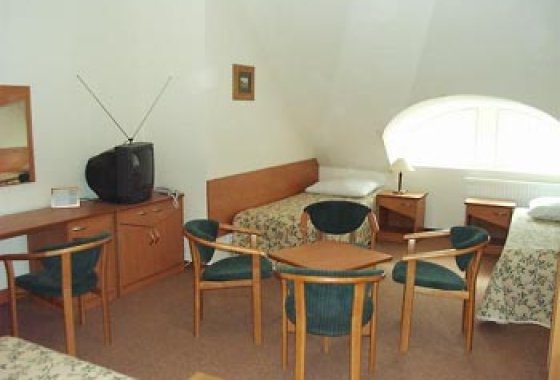 hotel *** - Hotel Bosman - Pokoje - zdjęcie 8