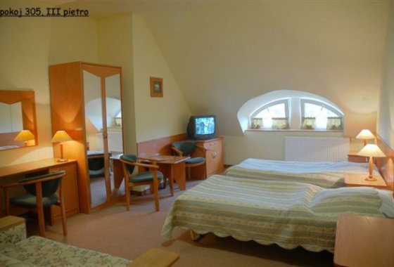 hotel *** - Hotel Bosman - Pokoje - zdjęcie 7