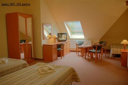 hotel *** - Hotel Bosman - zdjęcie 7
