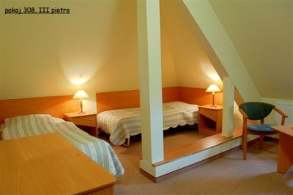 hotel *** - Hotel Bosman - zdjęcie 8