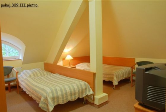 hotel *** - Hotel Bosman - Pokoje - zdjęcie 4