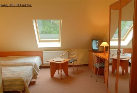 hotel *** - Hotel Bosman - Pokoje - zdjęcie 3