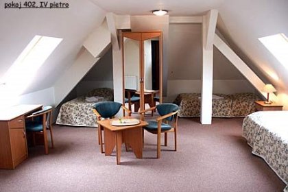 hotel *** - Hotel Bosman - zdjęcie 11