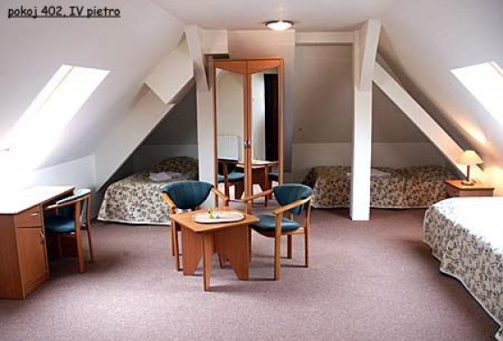 hotel *** - Hotel Bosman - Pokoje - zdjęcie 2