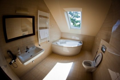 hotel *** - Zajazd Dwa Bratanki - zdjęcie 3