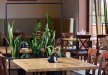 hotel *** - Hotel Beskidzki Raj***Medical SPA - zdjęcie 5