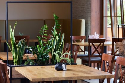 hotel *** - Hotel Beskidzki Raj***Medical SPA - zdjęcie 5