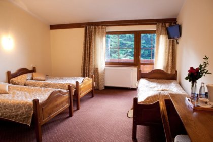 hotel *** - Hotel Beskidzki Raj***Medical SPA - zdjęcie 49