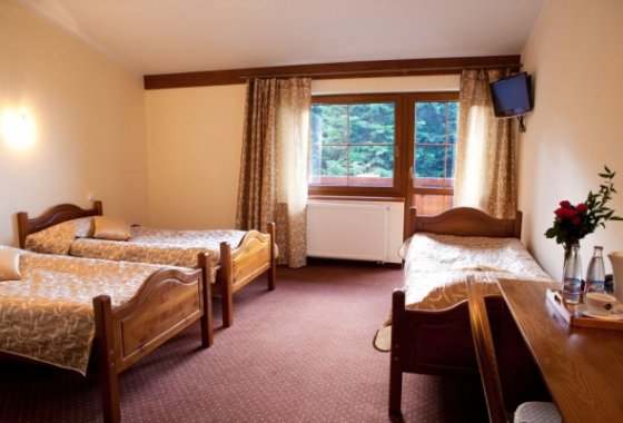 hotel *** - Hotel Beskidzki Raj***Medical SPA - Pokoje - zdjęcie 17