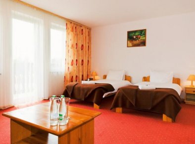Hotel Metro pokój hotelowy