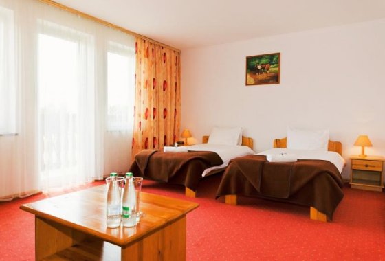Hotel Metro pokój hotelowy