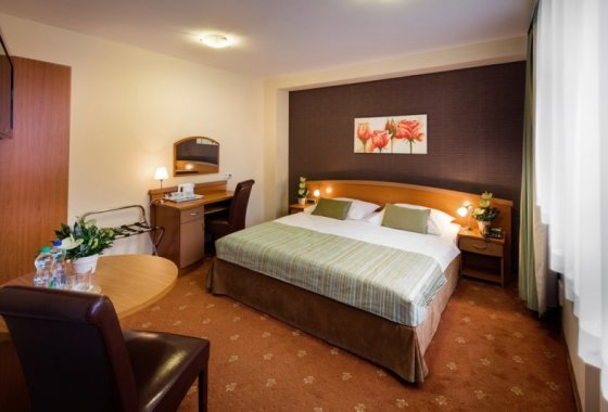hotel *** - Hotel Galicya - Pokoje - zdjęcie 1