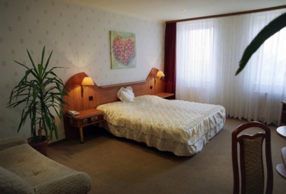 hotel - Hotel – Motel Texicana - Pokoje - zdjęcie 1