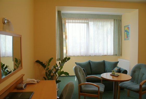hotel *** - Hotel SilVia w Zabrzu - Pokoje - zdjęcie 4