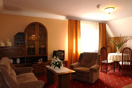 hotel *** - Hotel SilVia w Sośnicowicach - zdjęcie 2