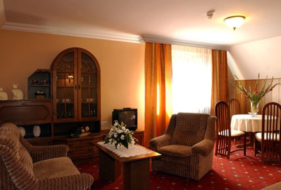 hotel *** - Hotel SilVia w Sośnicowicach - Pokoje - zdjęcie 1