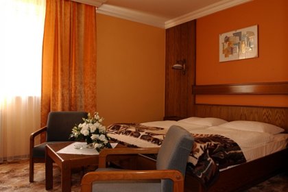 hotel *** - Hotel SilVia w Sośnicowicach - zdjęcie 4