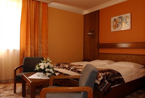 hotel *** - Hotel SilVia w Sośnicowicach - Pokoje - zdjęcie 3