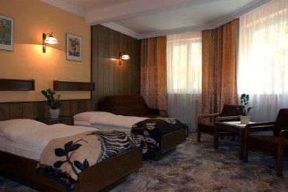 hotel *** - Hotel SilVia w Sośnicowicach - zdjęcie 5