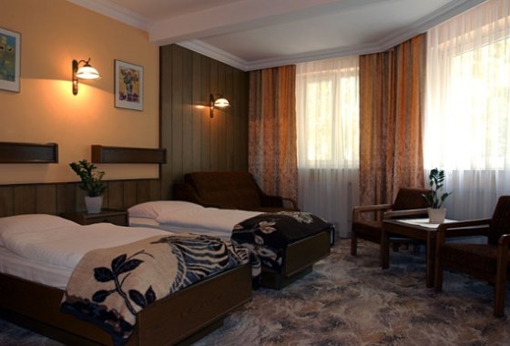 hotel *** - Hotel SilVia w Sośnicowicach - Pokoje - zdjęcie 4