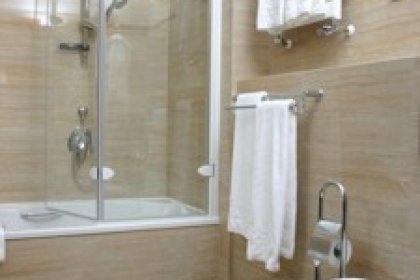 hotel *** - Hotel Hubertus - zdjęcie 3