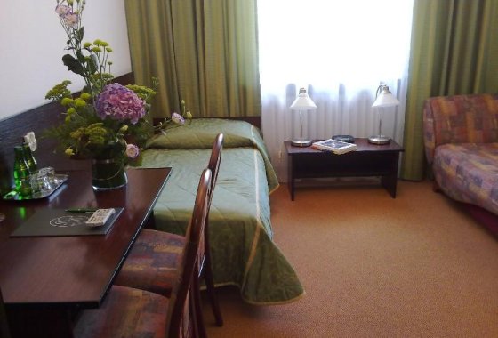 hotel - Hotel Harenda - Pokoje - zdjęcie 2
