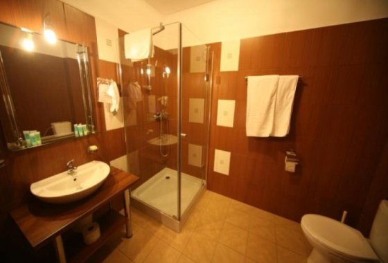 obiekt konferencyjny - Hotel Borowina - Pokoje - zdjęcie 2