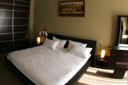 obiekt konferencyjny - Hotel Borowina - zdjęcie 5