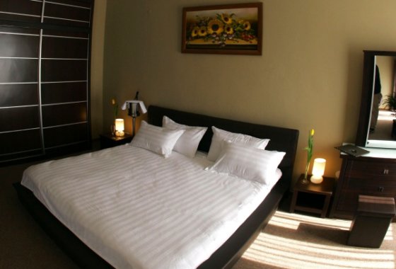 obiekt konferencyjny - Hotel Borowina - Pokoje - zdjęcie 1