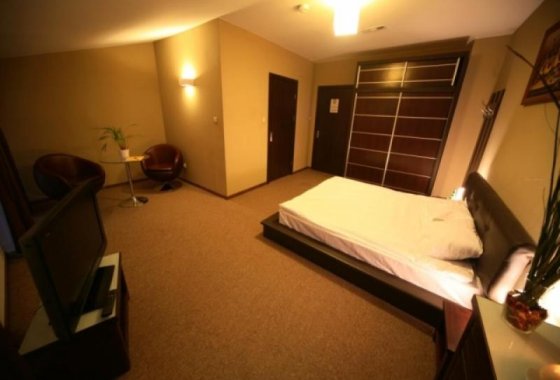 obiekt konferencyjny - Hotel Borowina - Pokoje - zdjęcie 3