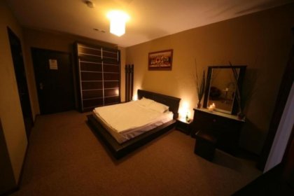 obiekt konferencyjny - Hotel Borowina - zdjęcie 8