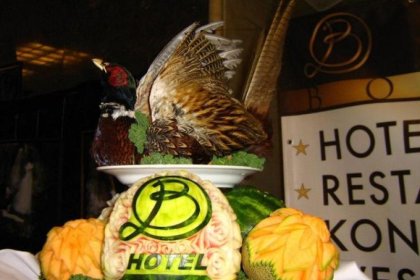 obiekt konferencyjny - Hotel Borowina - zdjęcie 9